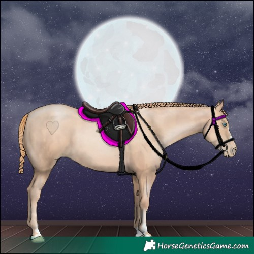 Horse Color:Gold Champagne Pearl Rabicano  and Gold Champagne Pearl Rabicano 