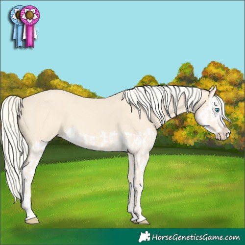 Horse Color:Cremello Splash  and Cremello Splash 