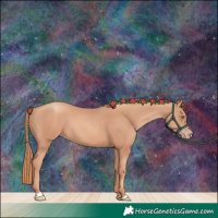 Horse Color:Gold Champagne 