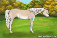 Horse Color:Silver Smoky Creme Tobiano 