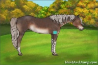 Horse Color:Silver Black Tobiano