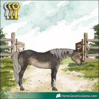 Horse Color:Silver Smoky Black Tobiano 