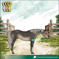 Horse Color:Silver Smoky Black Tobiano 