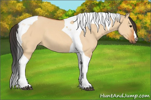 Horse Color:Bay Dun Tobiano