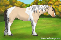 Horse Color:Bay Dun Tobiano 