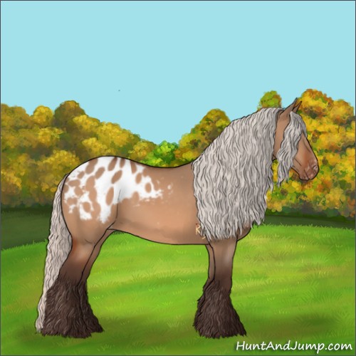 Horse Color:Silver Brown Dun Appaloosa
