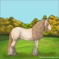 Horse Color:Smoky Black Pearl 