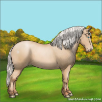 Horse Color:Silver Buckskin Pearl 