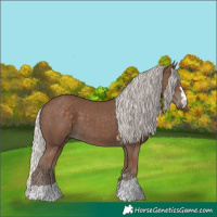 Horse Color:Silver Black 