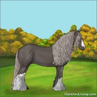 Horse Color:Silver Black 