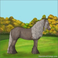 Horse Color:Silver Black 
