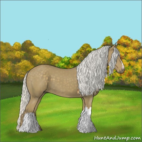 Horse Color:Silver Smoky Black