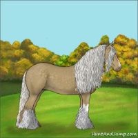 Horse Color:Silver Smoky Black