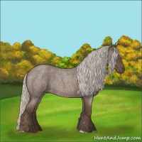 Horse Color:Silver Blue Roan 
