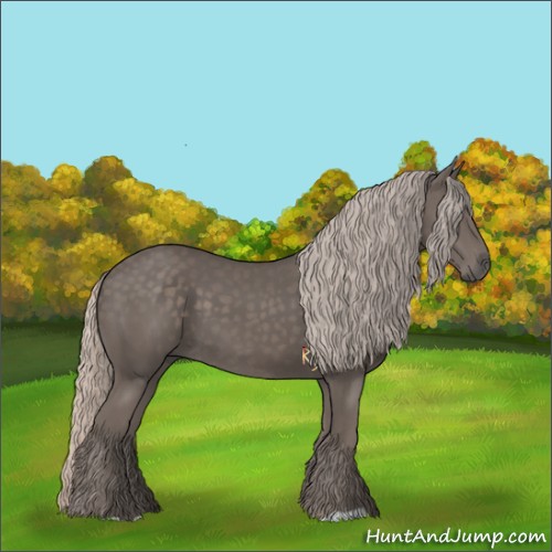 Horse Color:Silver Black