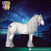 Horse Color:Silver Grullo Roan Splash Appaloosa 