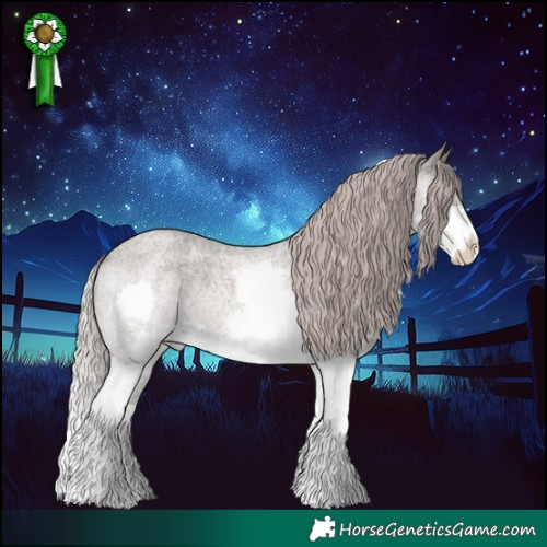 Horse Color:Silver Blue Roan Splash 