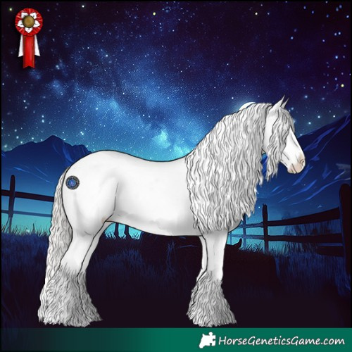 Horse Color:Silver Blue Roan Splash Appaloosa 