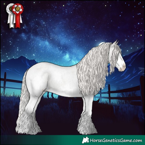 Horse Color:Silver Blue Roan Splash Appaloosa 