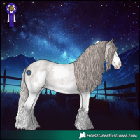 Horse Color:Silver Blue Roan Splash