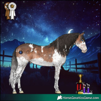 Horse Color:White Spotted Brown Splash Rabicano