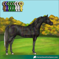 Horse Color:ERROR: UNKNOWN ANOMALY