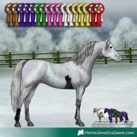 Horse Color:ERROR: UNKNOWN ANOMALY