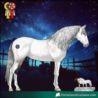 Horse Color:Gray Bay Dun Tobiano Blanket 