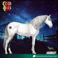 Horse Color:Gray Bay Dun Tobiano