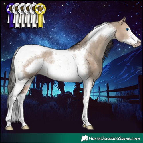 Horse Color:Brown Dun Tobiano Frame Rabicano 