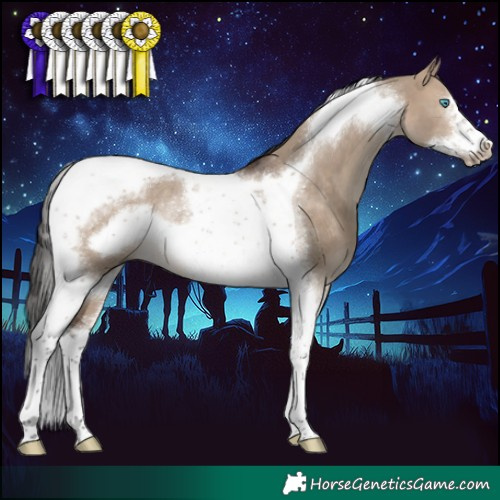 Horse Color:Brown Dun Tobiano Frame Rabicano