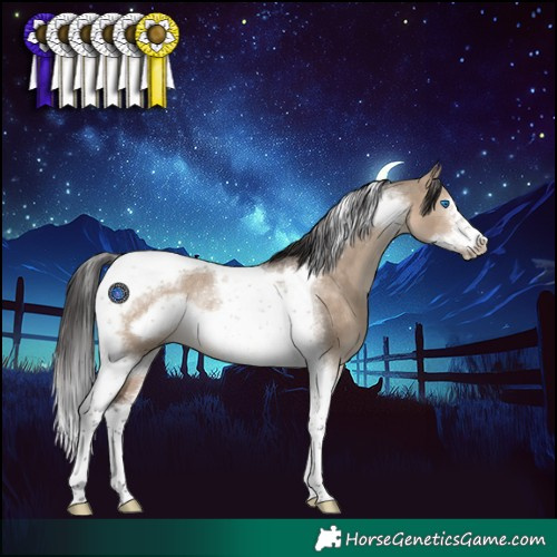 Horse Color:Brown Dun Tobiano Frame Rabicano 