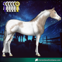Horse Color:Brown Dun Tobiano Frame Rabicano 
