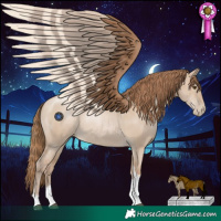 Horse Color:Grullo Pearl Tobiano Rabicano