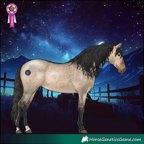 Horse Color:Brown Dun Rabicano 