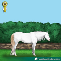 Horse Color:Buckskin Dun Varnish 