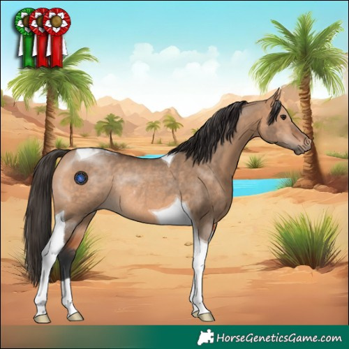 Horse Color:Bay Dun Tobiano Rabicano 
