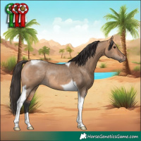 Horse Color:Bay Dun Tobiano Rabicano 