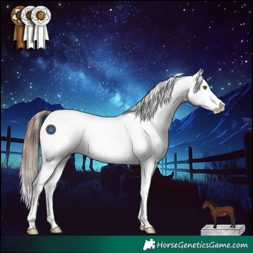 Horse Color:White Spotted Brown Dun Splash Frame Appaloosa Rabicano 