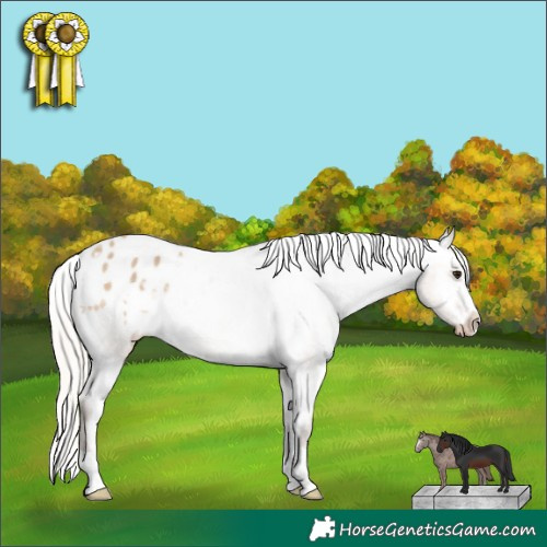 Horse Color:Silver Brown Dun Varnish