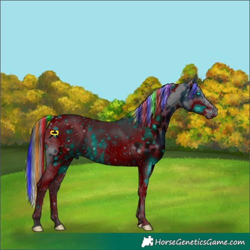 Horse Color:ERROR: UNKNOWN ANOMALY