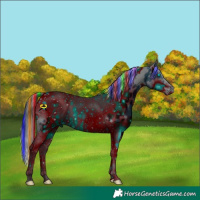 Horse Color:ERROR: UNKNOWN ANOMALY