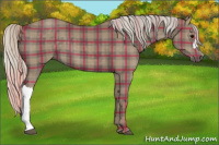 Horse Color:Plaid Silver Black