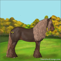 Horse Color:Liver Chestnut Rabicano 