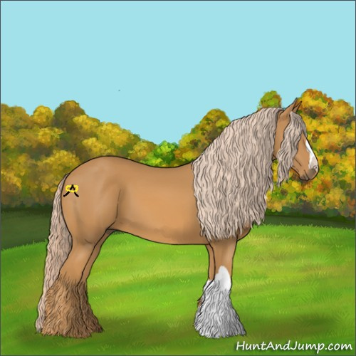 Horse Color:Palomino 