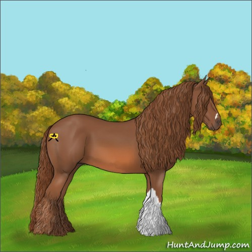 Horse Color:Chestnut 