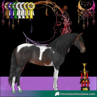 Horse Color:Brown Tobiano Rabicano