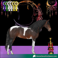 Horse Color:Brown Tobiano Rabicano