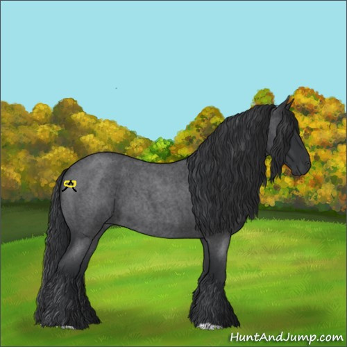 Horse Color:Blue Roan 