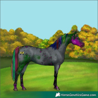 Horse Color:ERROR: UNKNOWN ANOMALY